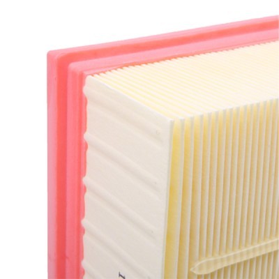 Air Filter RIDEX 8A0918 8A0918 - photo 5