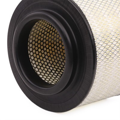 Air Filter RIDEX 8A0231 8A0231 - photo 6