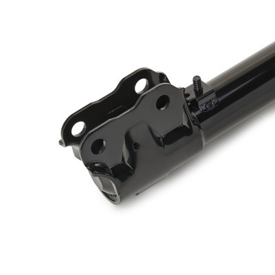 Shock Absorber RIDEX 854S18656 854S18656 - photo 4