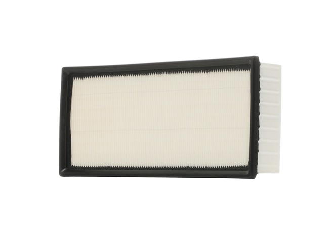 Air Filter RIDEX 8A0386 8A0386 - photo 1