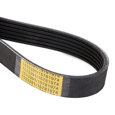 V-Ribbed Belt RIDEX 305P0467 305P0467 - photo 5