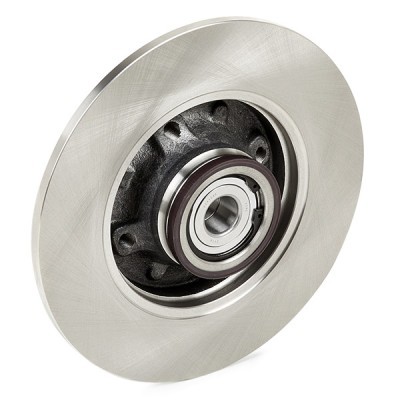 Brake Disc RIDEX 82B0701 82B0701 - photo 11