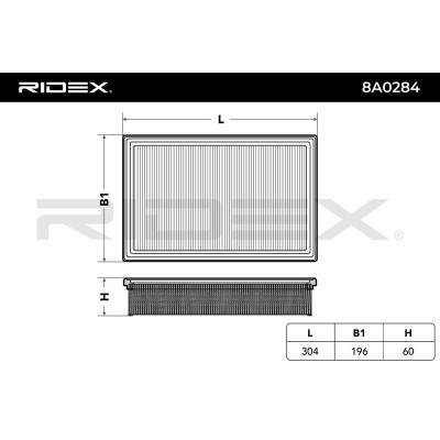 Air Filter RIDEX 8A0284 8A0284 - photo 4