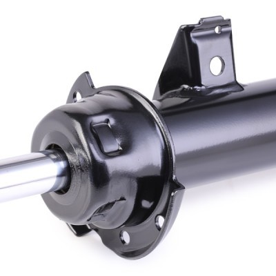 Shock Absorber RIDEX 854S1093 854S1093 - photo 6