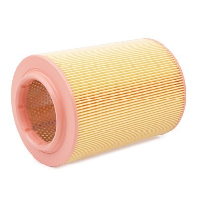 Air Filter RIDEX 8A0134 8A0134 - photo 5