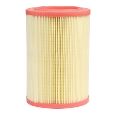 Air Filter RIDEX 8A0391 8A0391 - photo 3