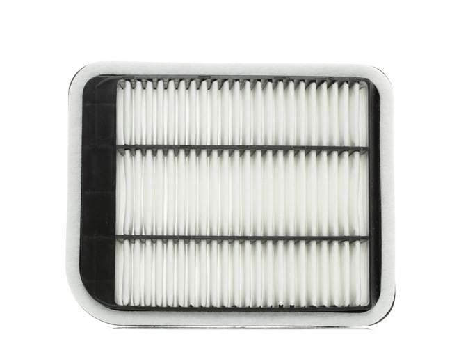 Air Filter RIDEX 8A0162 8A0162 - photo 1