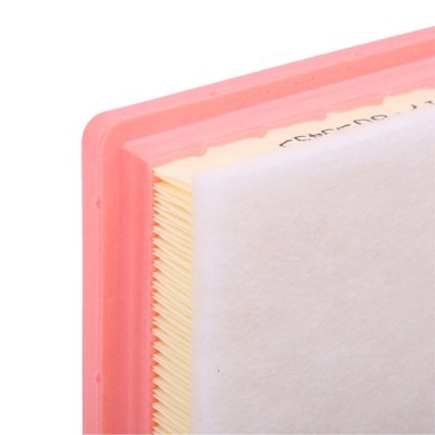 Air Filter RIDEX 8A0429 8A0429 - photo 5