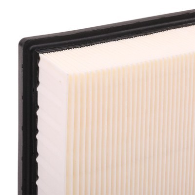 Air Filter RIDEX 8A0036 8A0036 - photo 6
