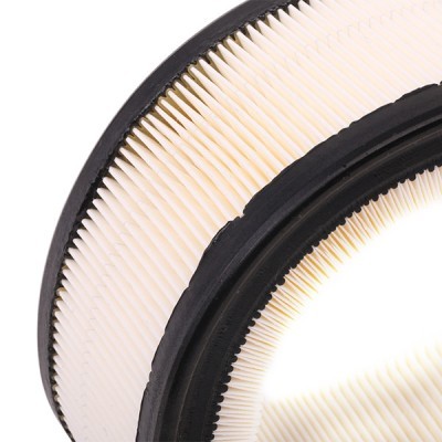 Air Filter RIDEX 8A0193 8A0193 - photo 6