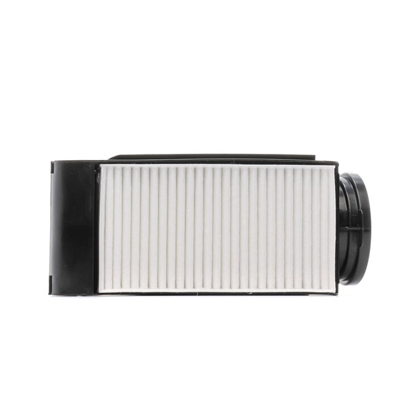 Air Filter RIDEX 8A0771P 8A0771P - photo 1