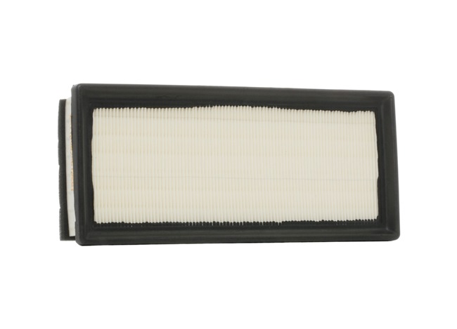Air Filter RIDEX 8A0179 8A0179 - photo 1