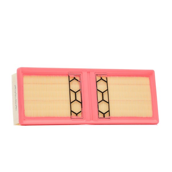 Air Filter RIDEX 8A0905 8A0905 - photo 1