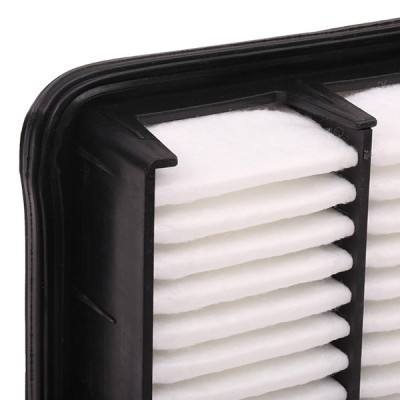 Air Filter RIDEX 8A0042 8A0042 - photo 6