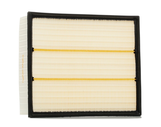Air Filter RIDEX 8A0034 8A0034 - photo 1