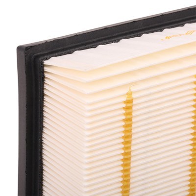 Air Filter RIDEX 8A0347 8A0347 - photo 5