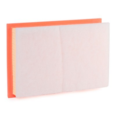 Air Filter RIDEX 8A0019 8A0019 - photo 4