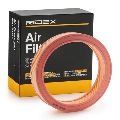 Air Filter RIDEX 8A0972 8A0972 - photo 2