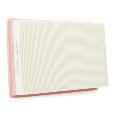 Air Filter RIDEX 8A0270 8A0270 - photo 7