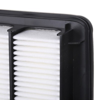 Air Filter RIDEX 8A0333 8A0333 - photo 5