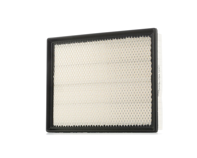Air Filter RIDEX 8A0029 8A0029 - photo 1