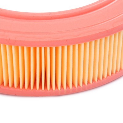 Air Filter RIDEX 8A0618 8A0618 - photo 5