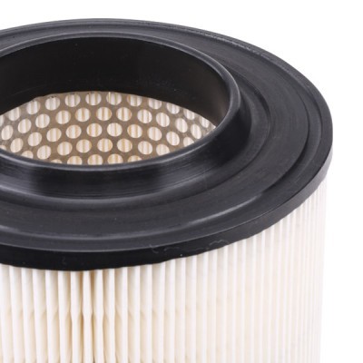 Air Filter RIDEX 8A0099 8A0099 - photo 6