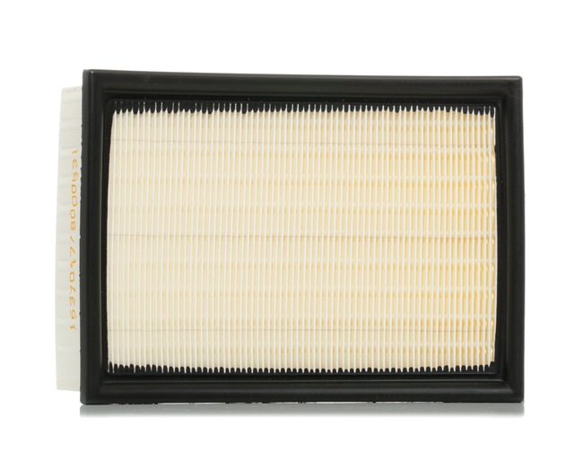 Air Filter RIDEX 8A0078 8A0078 - photo 1
