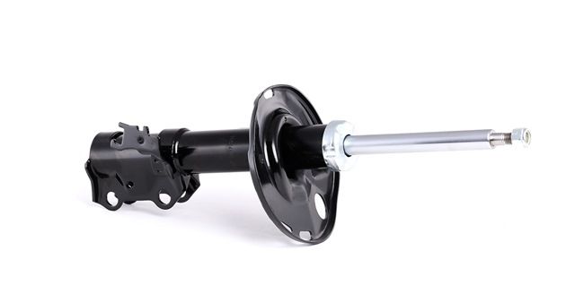 Shock Absorber RIDEX 854S1315 854S1315 - photo 1