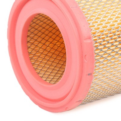 Air Filter RIDEX 8A0424 8A0424 - photo 6