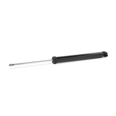 Shock Absorber RIDEX 854S2412 854S2412 - photo 2