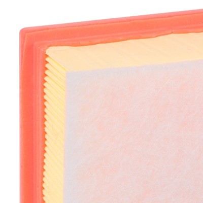Air Filter RIDEX 8A0279 8A0279 - photo 5
