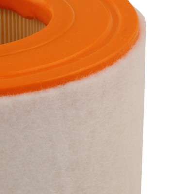 Air Filter RIDEX 8A0403 8A0403 - photo 5
