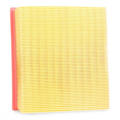 Air Filter RIDEX 8A0124 8A0124 - photo 4