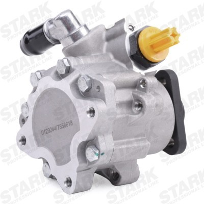 Hydraulic Pump, Steering System Stark SKHP-0540023 SKHP-0540023 - photo 4