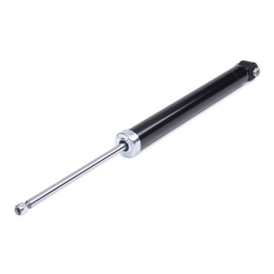 Shock Absorber RIDEX 854S0520 854S0520 - photo 5