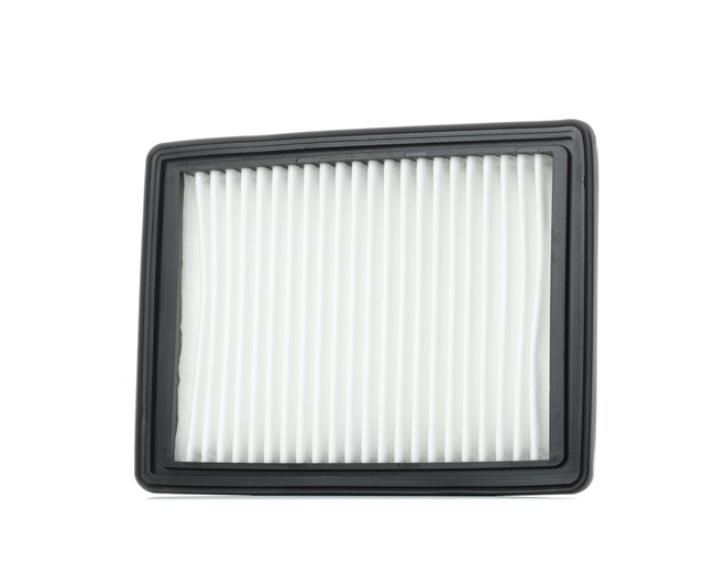 Air Filter RIDEX 8A0847 8A0847 - photo 1