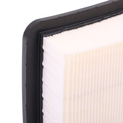 Air Filter RIDEX 8A0398 8A0398 - photo 5