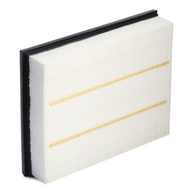 Air Filter RIDEX 8A0650 8A0650 - photo 4