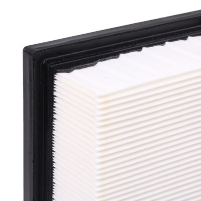 Air Filter RIDEX 8A0430 8A0430 - photo 5