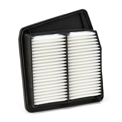 Air Filter RIDEX 8A0687 8A0687 - photo 3