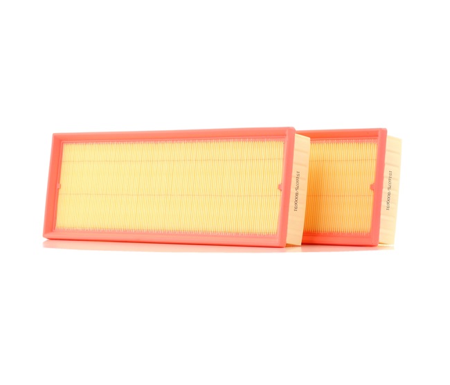 Air Filter RIDEX 8A0169 8A0169 - photo 1
