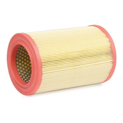 Air Filter RIDEX 8A0391 8A0391 - photo 4