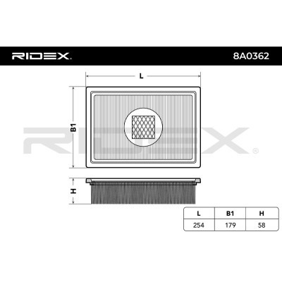 Air Filter RIDEX 8A0362 8A0362 - photo 4