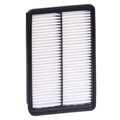 Air Filter RIDEX 8A0670 8A0670 - photo 5