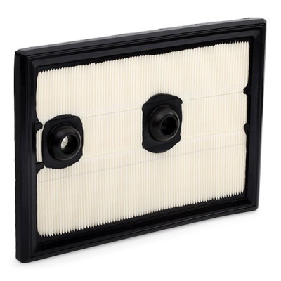 Air Filter RIDEX 8A0321 8A0321 - photo 5