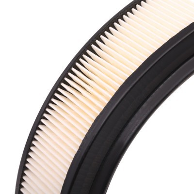 Air Filter RIDEX 8A0303 8A0303 - photo 5