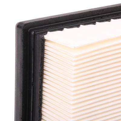 Air Filter RIDEX 8A0150 8A0150 - photo 5