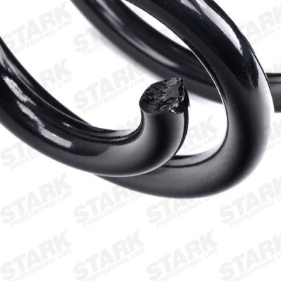 Suspension Spring Stark SKCS-0040537 SKCS-0040537 - photo 4