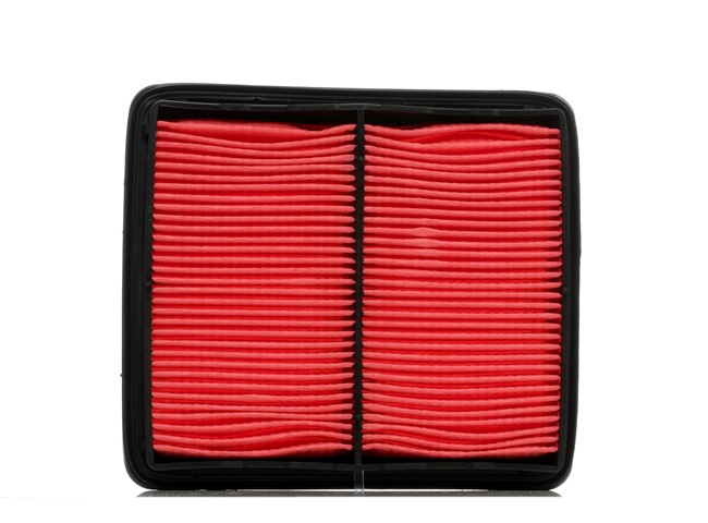 Air Filter RIDEX 8A0114 8A0114 - photo 1